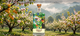 Rượu Mơ Eau De Vie D'Abricot 45% 530ML - Tinh Chất Mơ Mộc Châu - Rượu Mạnh Thủ Công