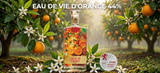 Rượu Cam Eau De Vie D'Orange 44% 530ML - Huy Chương Bạc Lyon 2026 - Cam Tươi