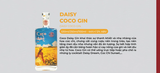 Rượu Daisy Coco Gin 44% 530ML - Gin Hoa Cúc Chi Đà Lạt - Craft Gin Thủ Công