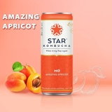 Trà KOMBUCHA Bổ sung lợi khuẩn- Men vi sinh 250ml