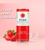 Trà KOMBUCHA Bổ sung lợi khuẩn- Men vi sinh 250ml