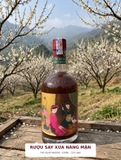 Rượu Mận Nàng Mận 530ML 22% - The Plum Maiden - MẦM