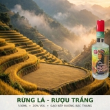 Rượu Rừng Lá 530ml 20% Vol - Mầm Craft Distillery - Rượu Trắng Gạo Nếp Ruộng Bậc Thang - Men Lá Rừng - Đặc Sản Tây Bắc