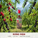 Rượu Rừng 530ml - Mầm Craft Distillery 20%-26% Vol - Rượu Đặc Sản Tây Bắc - Rượu Mận Rừng, Táo Mèo, Mơ Rừng, Mai Vàng, Rượu Trắng Gạo Nếp - 5 Vị