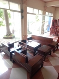 BỘ SOFA CHÂN HƯƠU GỖ GÕ VÀNG . MSP : BSF305