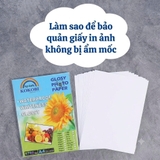 Cách Bảo Quản Giấy In Ảnh Không Bị Ẩm Mốc Hiệu Quả