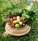 Sản phẩm nổi bật