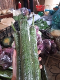 Mướp hương (500g - 1Kg)