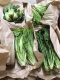 Bó xôi (500g - 1Kg)