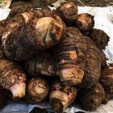 Khoai môn sáp (500g - 1Kg)