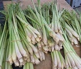 Sả (100g - 1Kg)