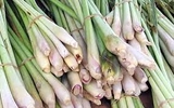 Sả (100g - 1Kg)