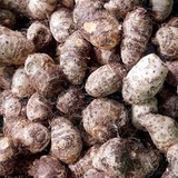 Khoai môn sọ (500g - 1Kg)