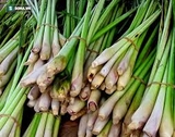 Sả (100g - 1Kg)