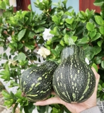 Bí đỏ (500g - 1Kg)