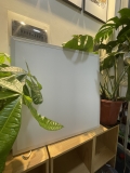 Đèn LED OPPLE Slim Panel Ecomax Power IV - Tiết Kiệm Điện - Tuổi Thọ Cao - Thiết Kế Siêu Mỏng - Cấp Bảo Vệ IP44 - Chính hãng