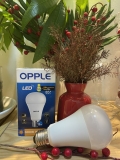 Đèn LED OPPLE EcoMax 1 Bulb A70 E27 12W V7 - Tiết Kiệm Năng Lượng - Hiệu Suất Chiếu Sáng Cao - Chính Hãng