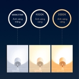 Đèn LED OPPLE Ray Rọi Spotlight Track Utility TR-UII 20W Vỏ Trắng- Chính Hãng