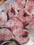 Cá Bớp