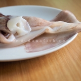 Mực Lá