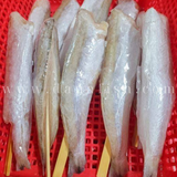 Cá nhồng xiên que