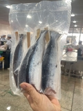 Cá chuồn xiên que