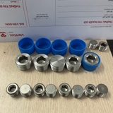 Đầu bịt inox lục giác trong và ren ngoài PT