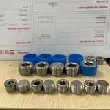 Đầu bịt inox lục giác trong và ren ngoài PT