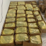 Bộ dẫn hướng PMSH32