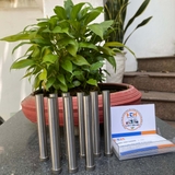 Chày đột thẳng SPC2