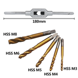 Taro loại Xoắn - Phủ Titan