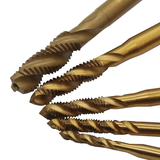 Taro loại Xoắn - Phủ Titan