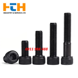 Bu Lông Lục Giác Chìm Đen CB M2.5