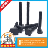 Bu lông chữ T M12