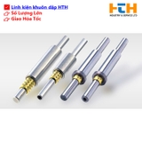 Bộ dẫn hướng tư động hóa