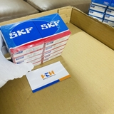 Bạc đạn SKF Explorer 6303 - 2Z/C3