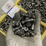 Bu lông dẫn hướng Inox SMSB12