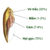 Bánh Quế Tam Sắc 200gr