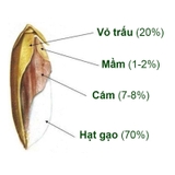 Bánh gạo lứt ohsawa zozin