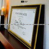 Khung Bằng Khen Hoa Văn Nâu Viền Nổi Cổ Điển Size A5(15x21), A4(21x30cm), A3(30x42cm),...