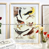Khung Tranh/Ảnh Gỗ tự nhiên – nhiều kích thước 20x30cm, 30x40cm, 40x60cm, 50x70cm