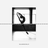 Tranh Trắng Đen - 106