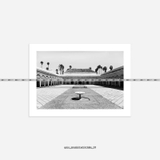 Tranh Trắng Đen - 336