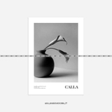 Tranh Trắng Đen - 077