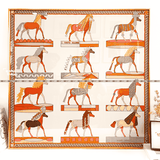 Classic Silk Scarf Framing 40x40cm, 70x70cm, 90x90cm