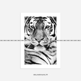 Tranh Thế Giới Động Vật - 109