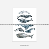 Tranh Thế Giới Động Vật - 117