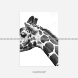 Tranh Thế Giới Động Vật - 027