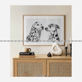 Tranh Thế Giới Động Vật - 037