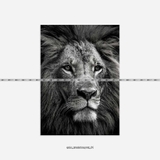 Tranh Thế Giới Động Vật - 054